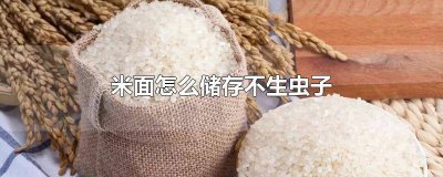 ​米面怎么能不生虫子 如何保存米面才不生虫子
