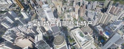 ​深圳特产有哪些土特产可邮寄 深圳特产有哪些土特产可以带走浙江金华有椰子嘛?