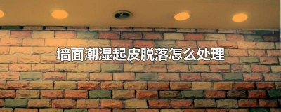 ​水泥墙皮脱落怎么办 水泥墙面掉皮怎样处理