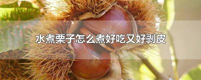 ​水煮栗子怎么煮好吃又好剥皮呢 水煮栗子怎么煮才好剥皮