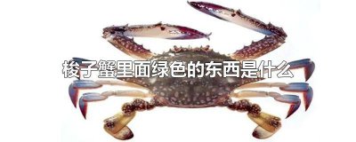 ​梭子蟹里面绿色的东西是什么 加图 梭子蟹里面绿色的东西是什么