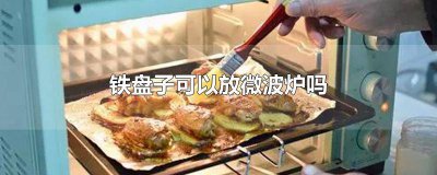 ​微波炉里能不能放铁盘 微波炉可以放铁盘子