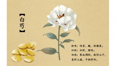 ​三白茶有什么作用 三白茶不适合什么人喝