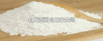 ​自发面粉食用安全吗