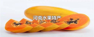 ​河南的土特产有哪些水果 河南土特产有哪些土特产