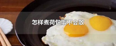 ​荷包蛋如何煮才不会散 煮荷包蛋怎么煮才不散