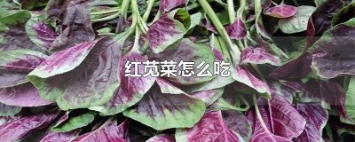 ​花红苋菜怎样做好吃 红心苋菜怎么吃