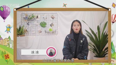 ​衣服上弄到山竹汁怎么洗得掉 衣服上的山竹汁怎么洗