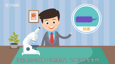 ​细菌真菌病毒的区别生物 细菌真菌病毒的区别初中