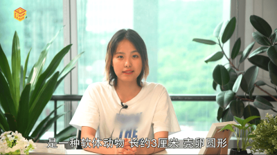 ​什么是花甲米线图片 花甲米线的米线是什么米线