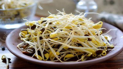 ​绿豆芽头发紫是怎么回事 绿豆芽发紫是为什么