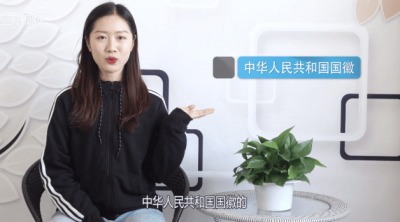 ​国徽上的图案都有哪些「国徽上的图案」