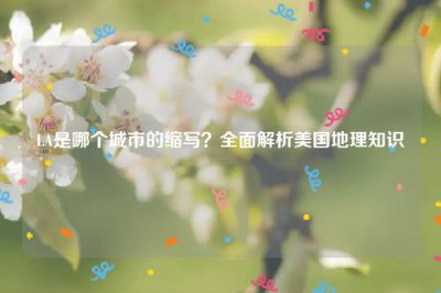 ​LA是哪个城市的缩写？全面解析美国地理知识