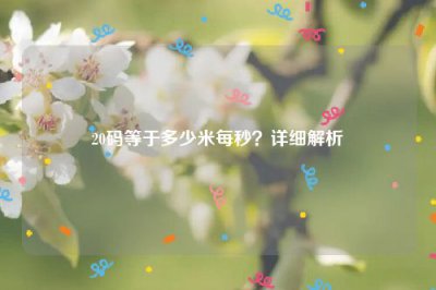 ​20码等于多少米每秒？详细解析
