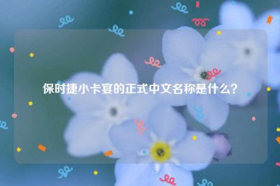 ​保时捷小卡宴的正式中文名称是什么？