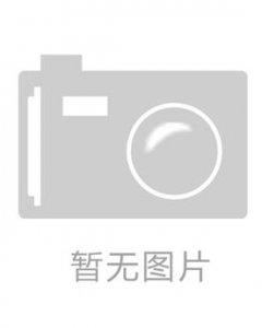 ​刘乂介绍（刘乂光文帝刘渊之子）