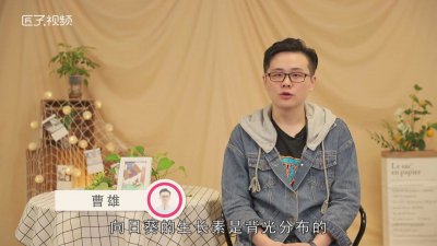 ​向日葵为什么会随着太阳转动 百度网盘 向日葵为什么会随着太阳转动 转来转去