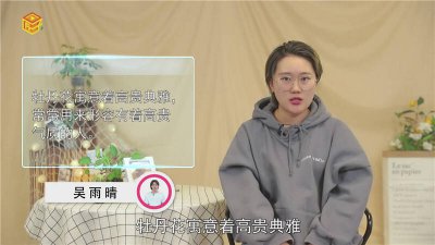 ​黄牡丹和红牡丹寓意 黄色洋牡丹的寓意
