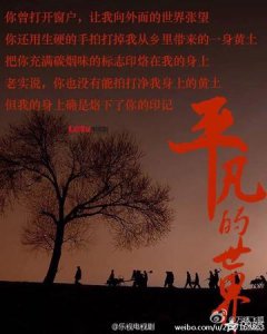 ​平凡的世界概括（路遥平凡的世界概括）