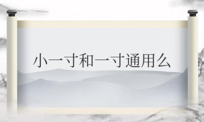 ​小一寸和一寸通用么（标准小一寸和一寸的区别）