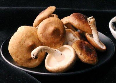 ​种蘑菇赚钱吗（菌菇种植有多大利润）