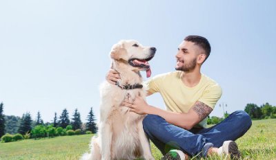 ​最厉害的小型护卫犬排名（家养最护主的小型猛犬）