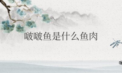​啵啵鱼是什么鱼肉？有刺吗？