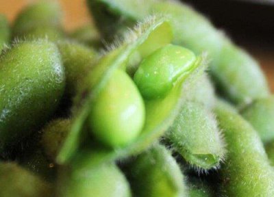 ​毛豆的种植时间和方法