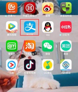 ​支付宝花呗额度如何提升花呗怎么提升额度