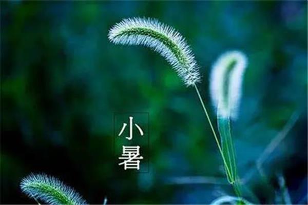 小暑怎么养生 小暑要吃什么