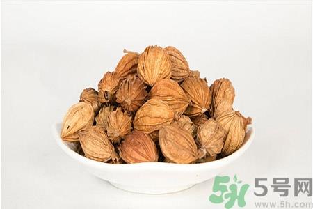 香砂的功效作用 香砂与砂仁的区别