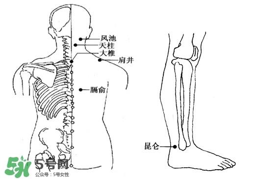 刮痧能治颈椎病吗？颈椎病刮痧正确图片