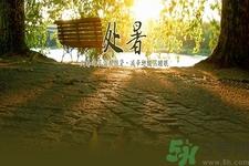 处暑为什么要吃鸭？处暑吃鸭的好处有哪些？