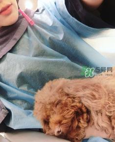 产后怎么护理头发？生宝宝后头发怎么护理