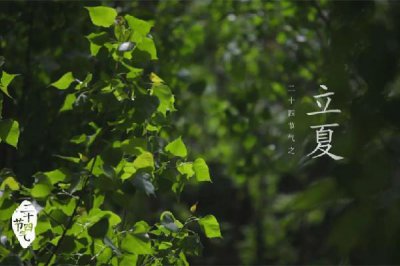 ​立夏要吃鸡蛋吗 立夏吃鸡蛋的寓意