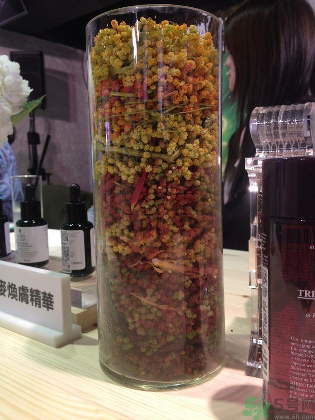 科颜氏藜麦焕肤精华怎么样？科颜氏藜麦焕肤精华好用吗