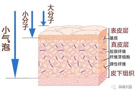 小气泡是什么 小气泡去黑头有效吗