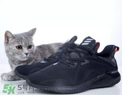 adidas alphabounce上脚怎么样？阿迪达斯阿尔法小椰子测评