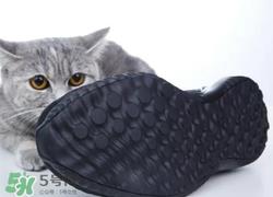 adidas alphabounce上脚怎么样？阿迪达斯阿尔法小椰子测评