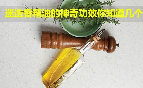 迷迭香精油的功效与作用 迷迭香精油的好处