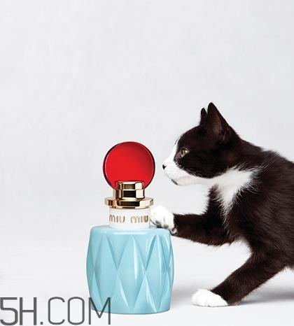 miumiu香水留香时间 miumiu缪缪香水香评