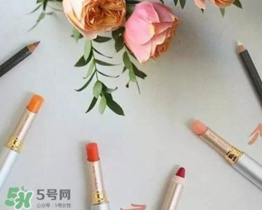 ​jane iredale珍爱芮德是什么牌子_什么档次_哪国的