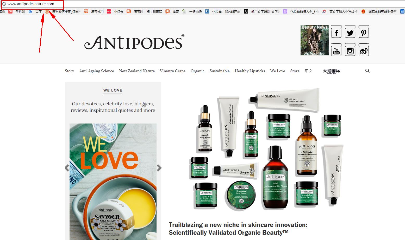 antipodes有授权天猫吗 antipodes安媞珀什么值得买