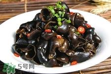 黑木耳是菌类的吗？黑木耳属于菌类吗？