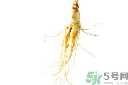 人参怎么吃效果最好？人参的做法大全