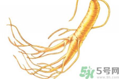 ​人参怎么吃效果最好？人参的做法大全