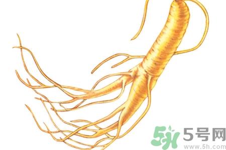 人参怎么吃效果最好？人参的做法大全