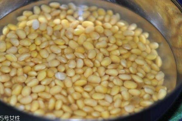 黄豆酱能不能做鱼 蒸鱼味道不错