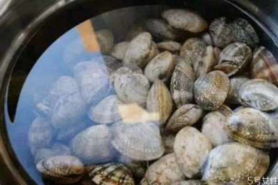 ​怎么判断花甲死没死 判断花甲死没死的方法