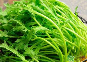 皇帝菜是茼蒿吗？皇帝菜和茼蒿的区别